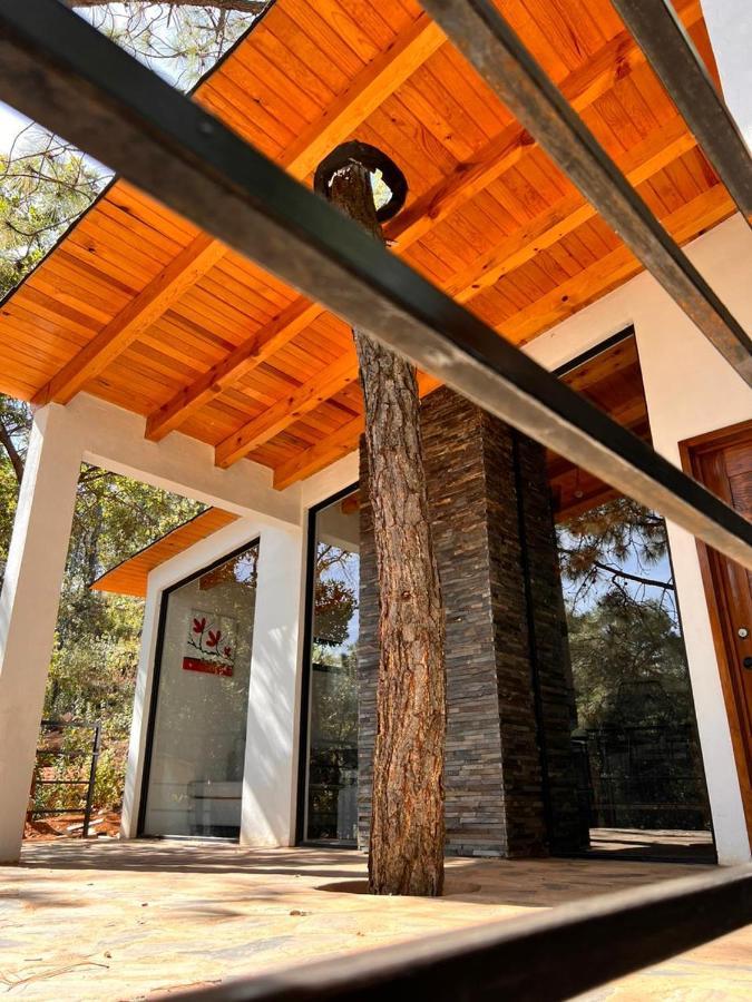 Cabana "Alexa", En El Corazon Del Bosque De Мазамитла Экстерьер фото