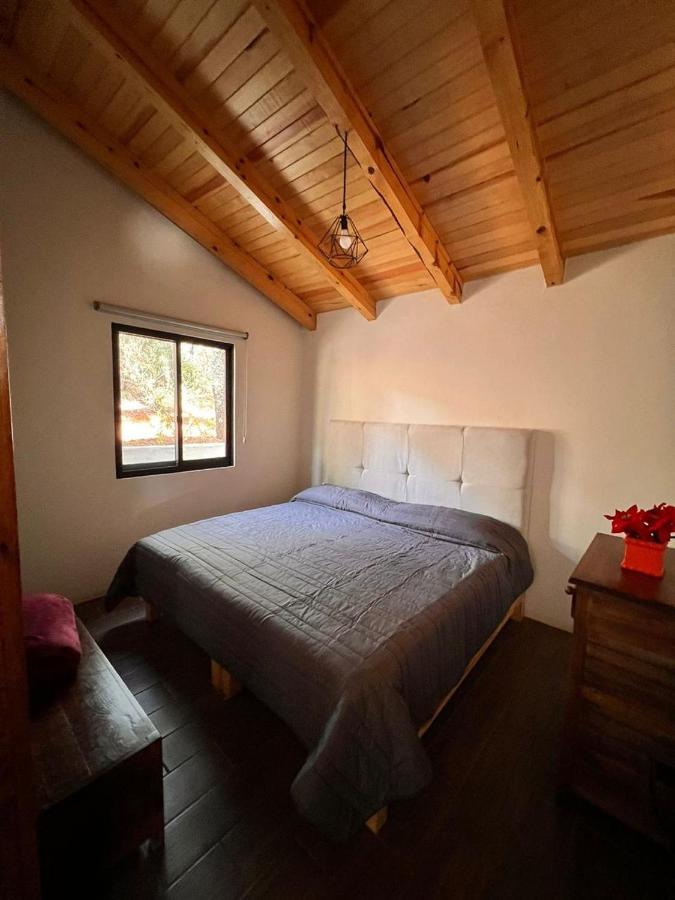 Cabana "Alexa", En El Corazon Del Bosque De Мазамитла Экстерьер фото