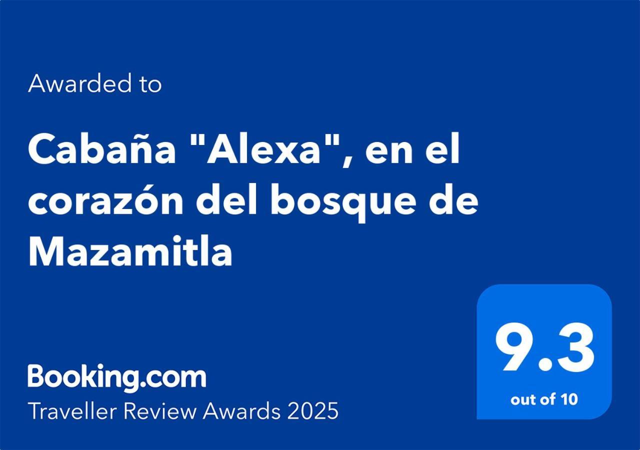 Cabana "Alexa", En El Corazon Del Bosque De Мазамитла Экстерьер фото